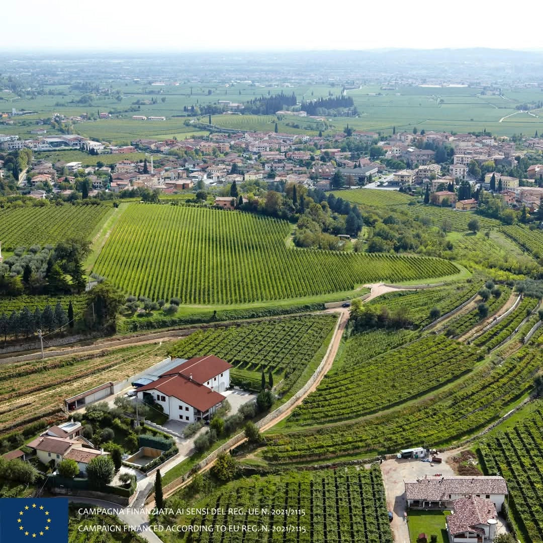 Ceradello Organic Prosecco Spumante Brut
