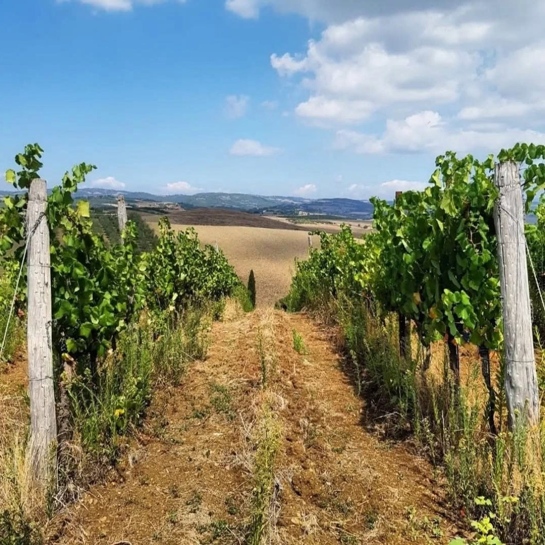 Uggiano Chianti Riserva La Scoperta