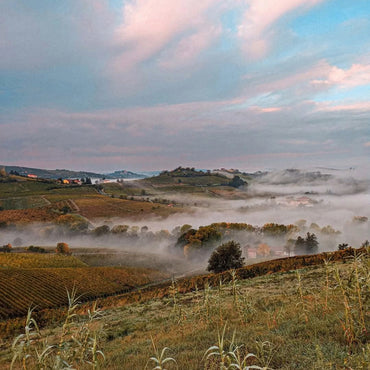 Il Cascinone Rive Barbera d'Asti