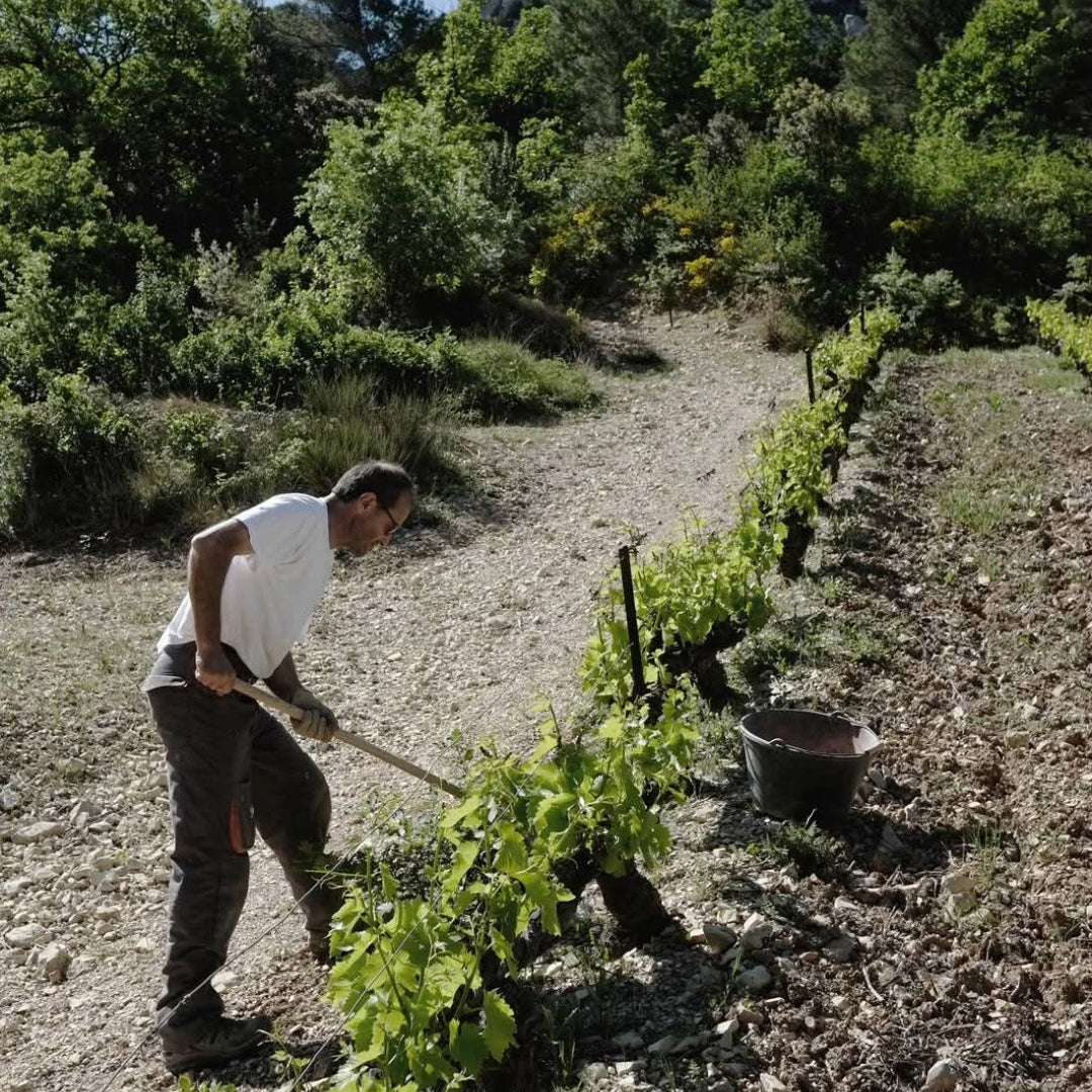 Domaine la Bouissiere Gigondas