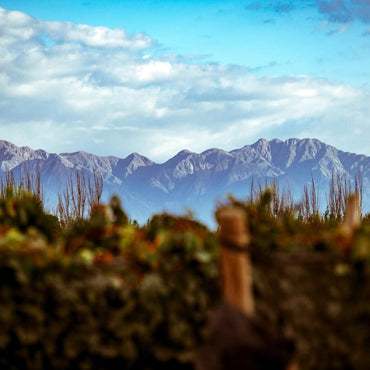 Bressia Monteagrelo Malbec