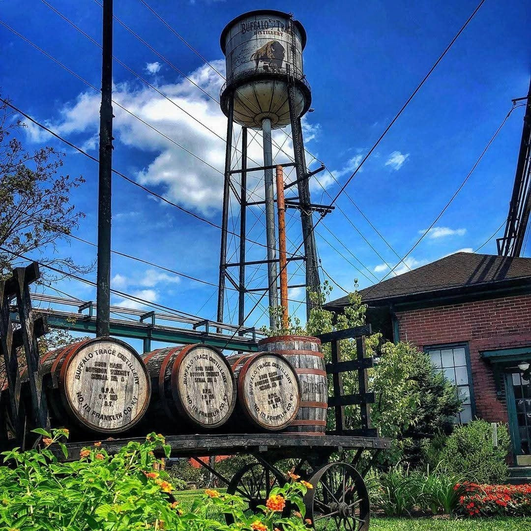 Buffalo Trace Bourbon