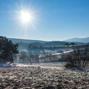 Villa Blanche Grenache Rose