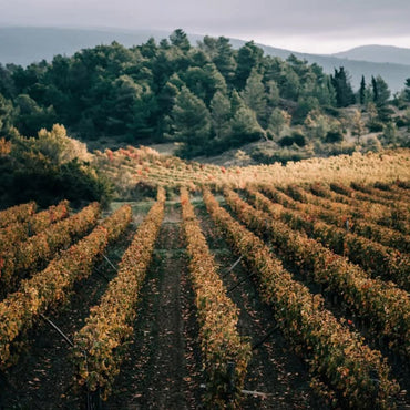 Villa Blanche Grenache Rose