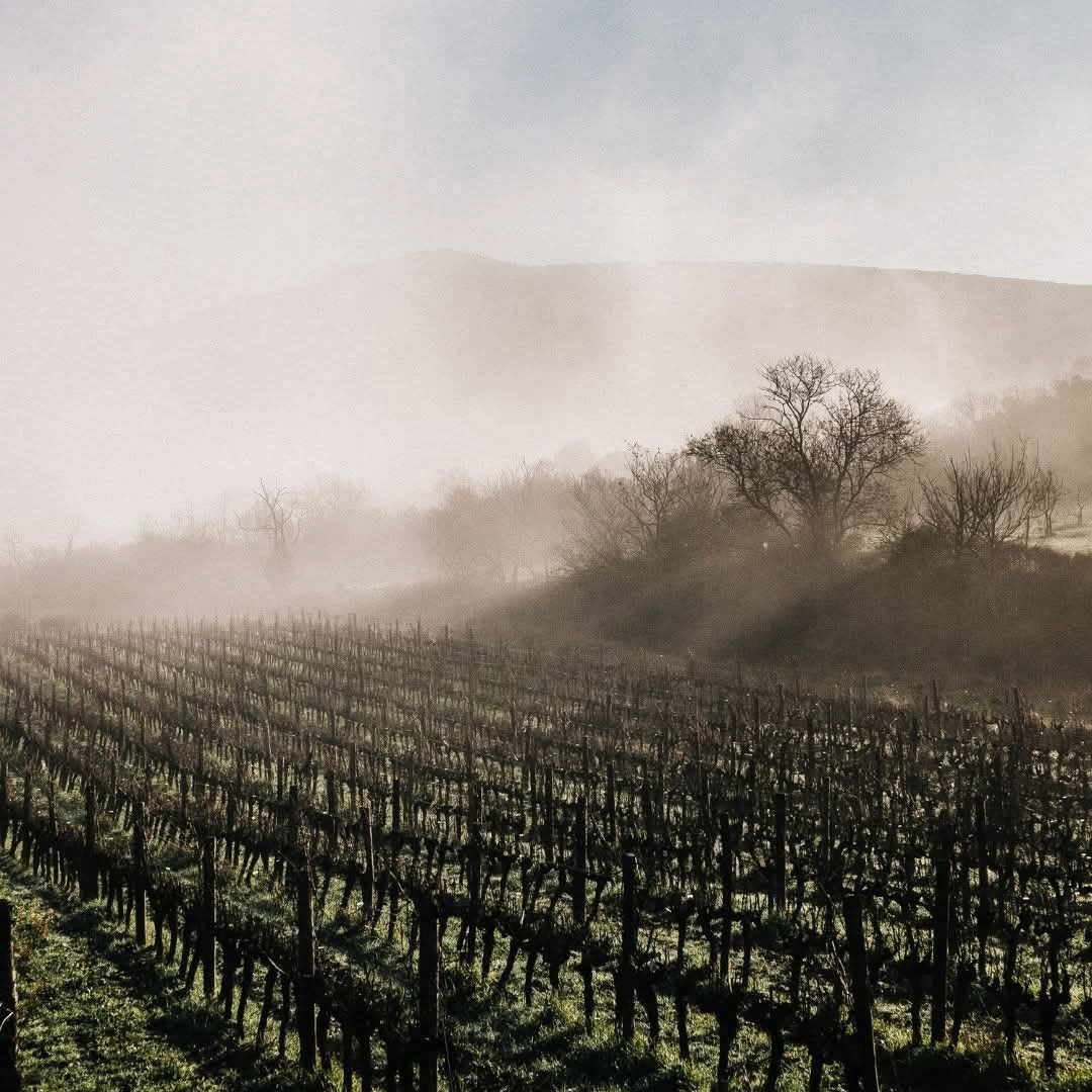 Villa Blanche Grenache Rose