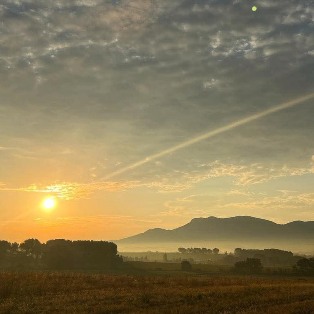 Famille Negrel Horizon Rose IGP Mediterranee