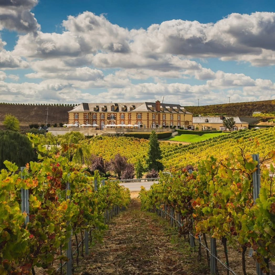Domaine Carneros Avant Garde Pinot Noir