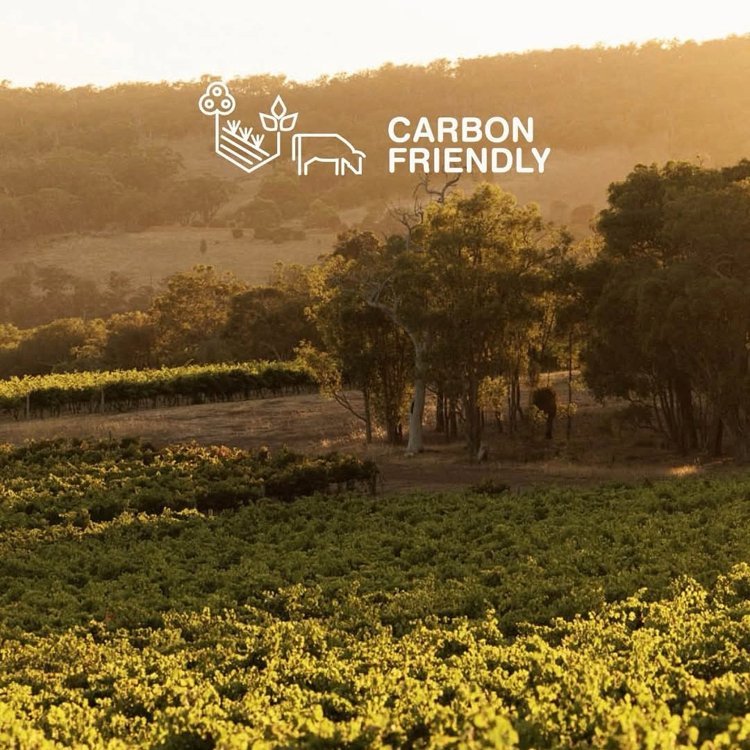 Cherubino Pedestal Margaret River Chardonnay