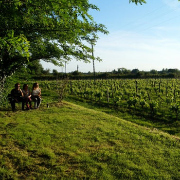 Franc de Bel Solera Cabernet Franc