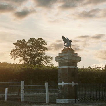 Corryton Burge Percival Norman Barossa Shiraz