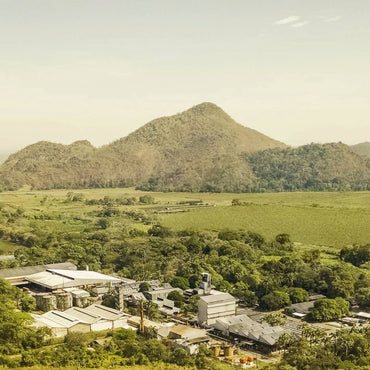 Diplomatico Mantuano