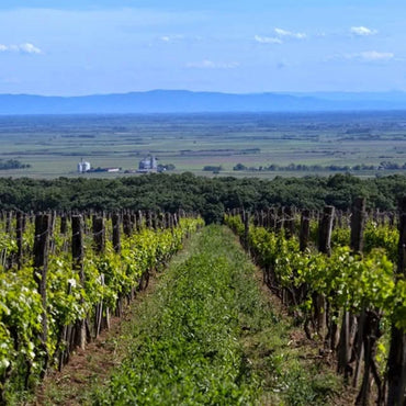 Erdevik Geronimo Graschatz