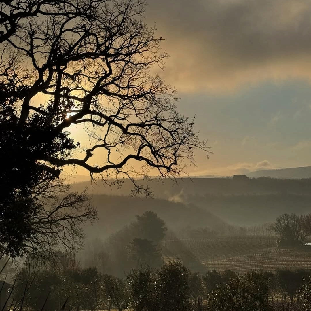Fabbrica Newton Bianco Toscano
