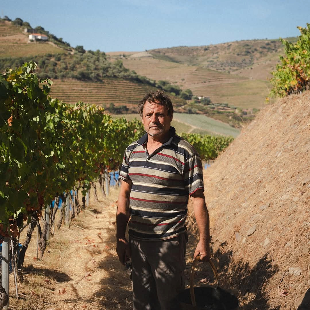 Graham's Six Grapes Reserve Port