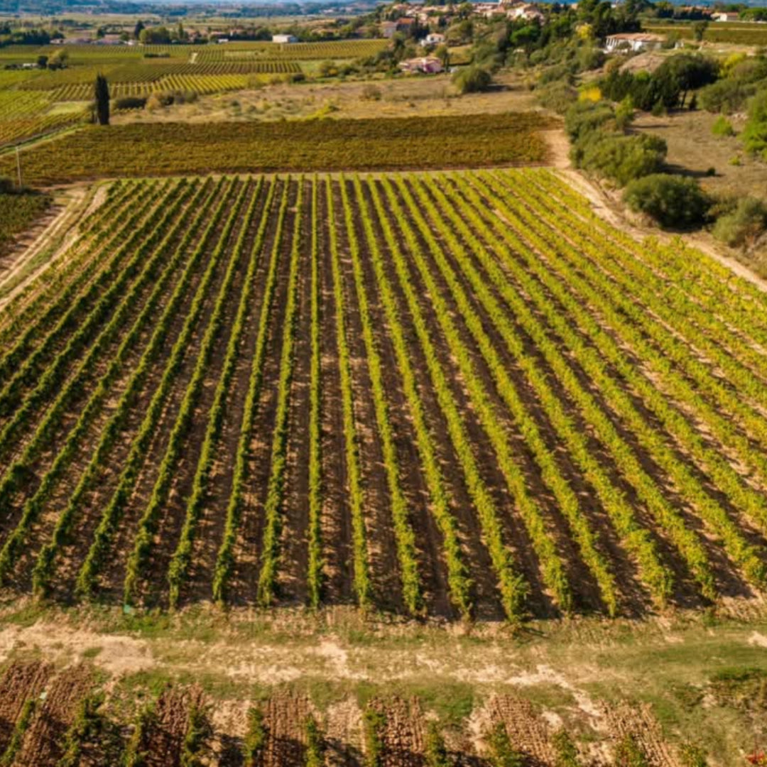 Serre De Guery l'Esprit d'Eloi Petit Verdot