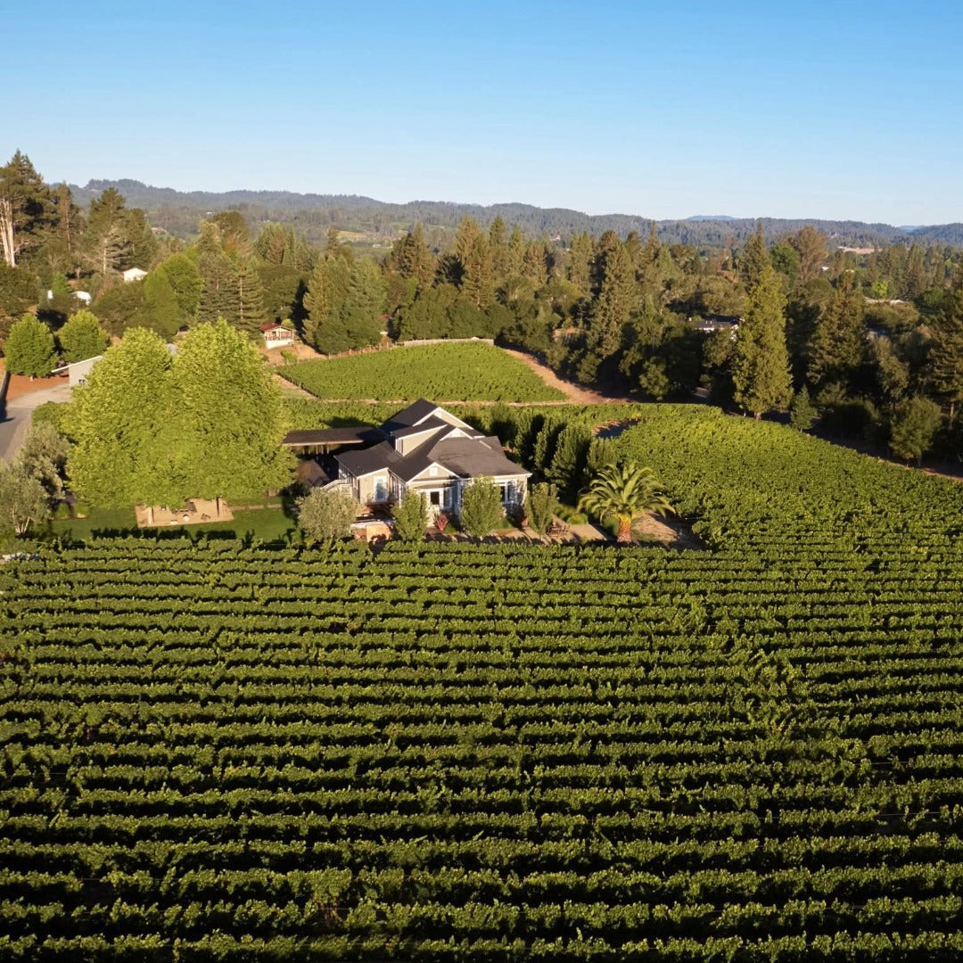 Paul Hobbs Napa Valley Cabernet Sauvignon