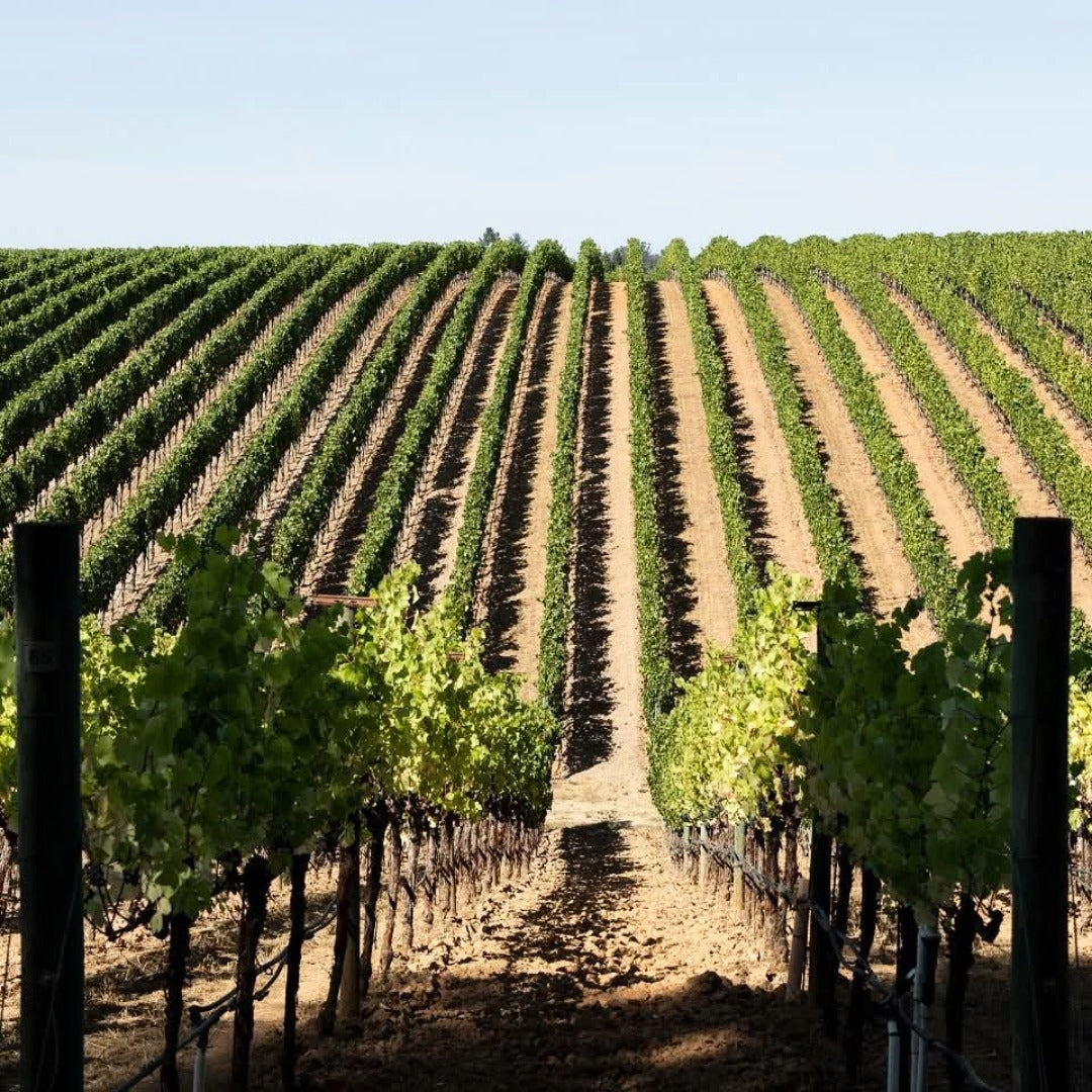 Paul Hobbs Napa Valley Cabernet Sauvignon