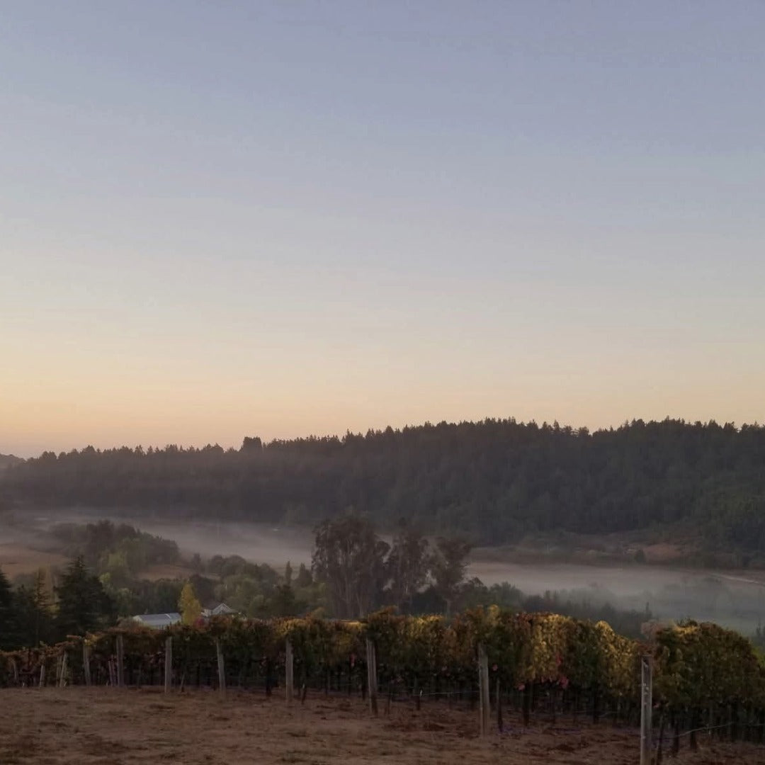 Paul Hobbs Napa Valley Cabernet Sauvignon