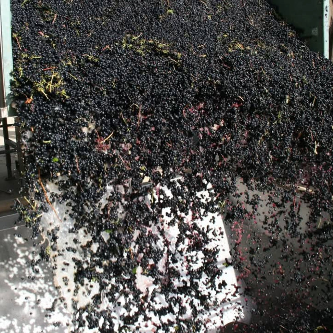 Killibinbin Seduction Cabernet Sauvignon
