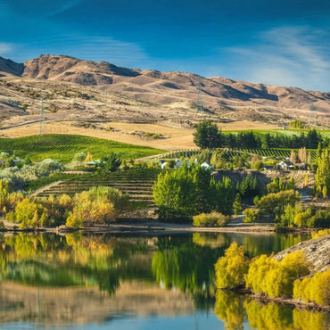 Kim Crawford Sauvignon Blanc