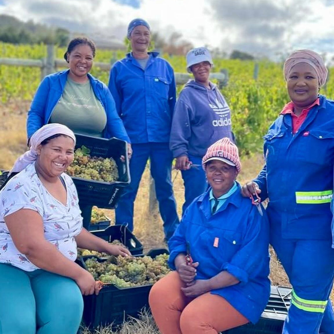 Waterkloof 'Seriously Cool' Cinsault