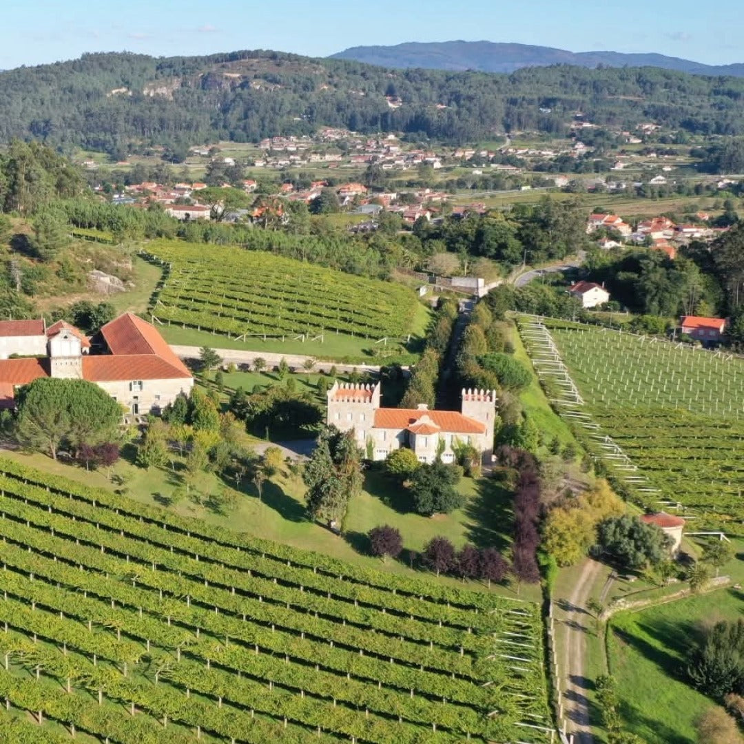 La Huida Albarino