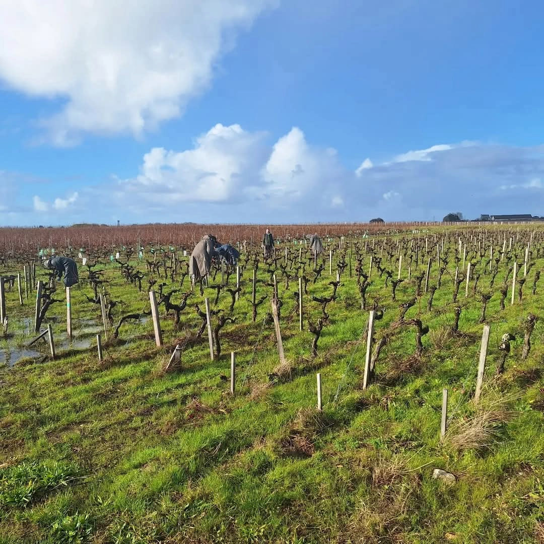 Chateau La Grave Medoc