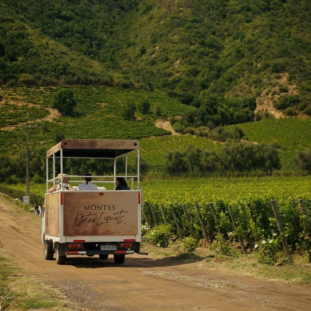 Montes Alpha Casablanca Chardonnay