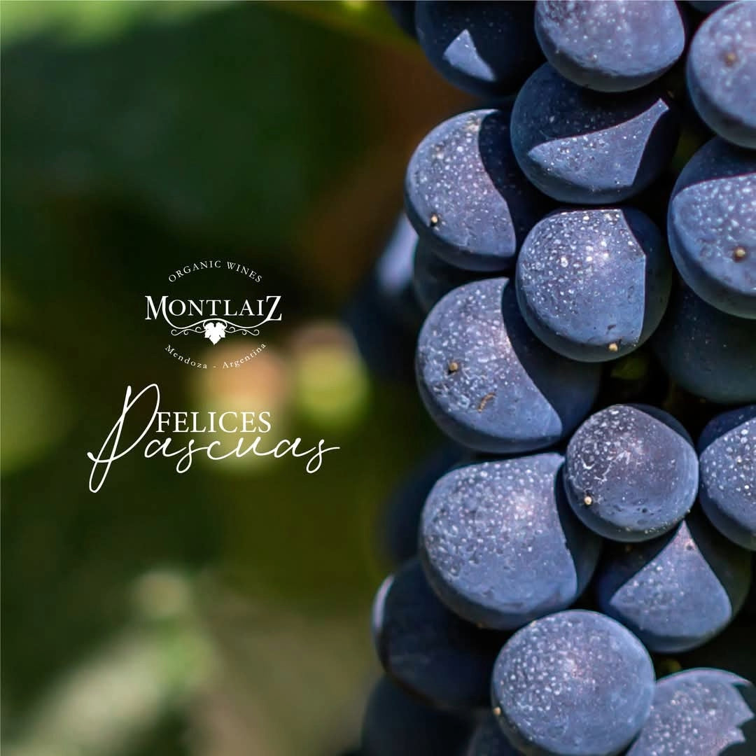 Dandelion Organic Malbec