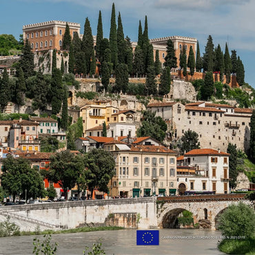 Vidussi Collio Ribolla Gialla