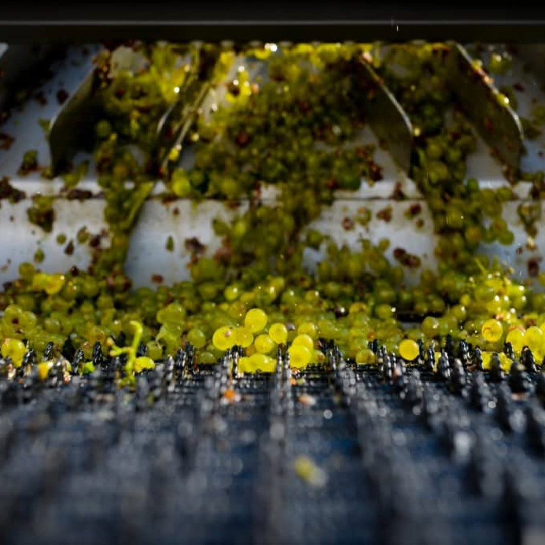 Kovacs Nimrod Battonage Chardonnay