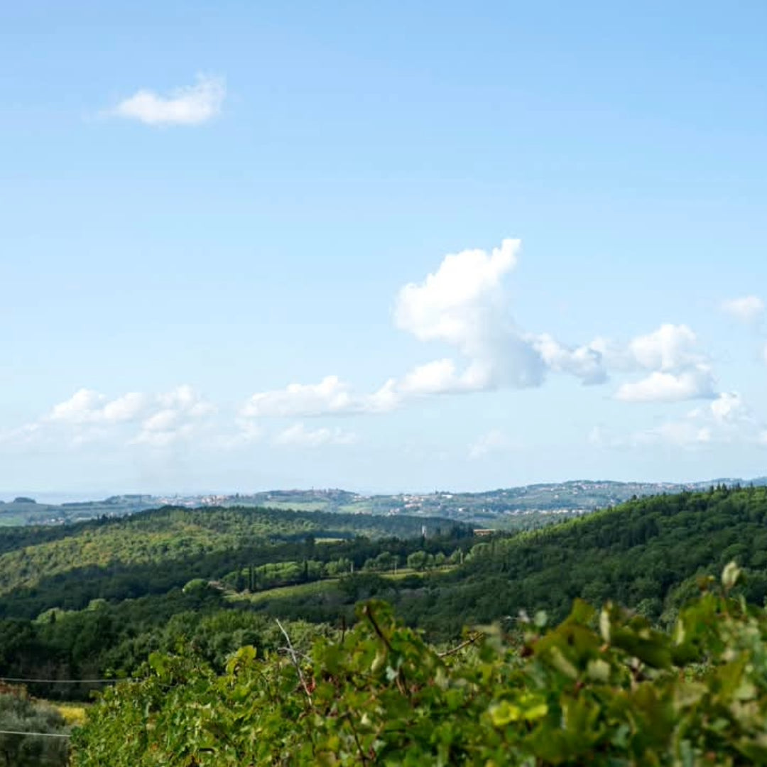 Nittardi Ad Astra Maremma Toscana