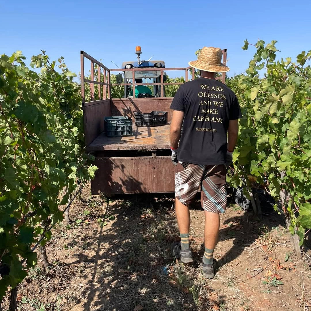 Odessos Urban Winery Kavarna Single Vineyard Cabernet Franc
