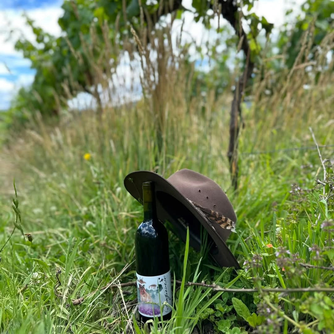 Payten & Jones Major Kong Yarra Valley Syrah