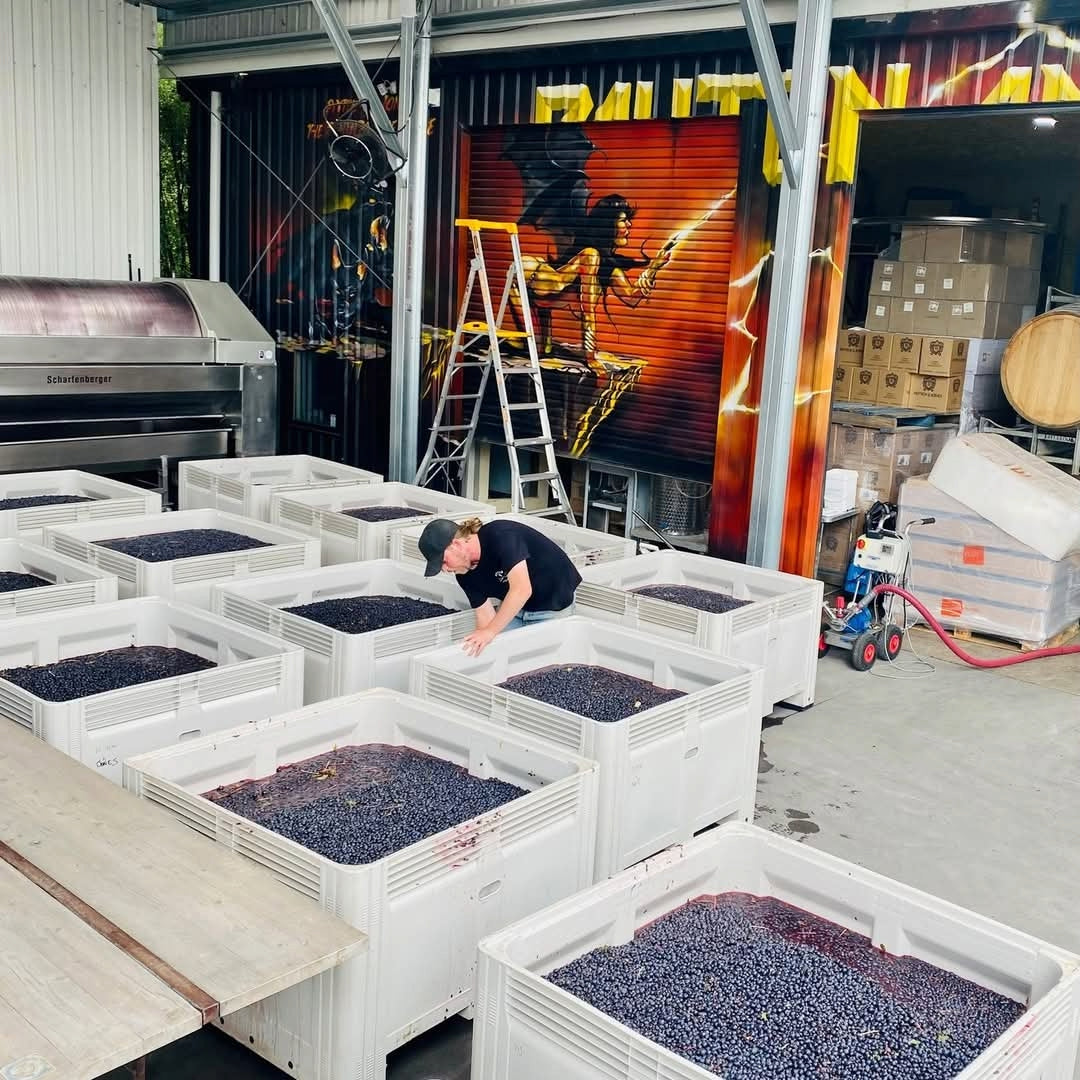 Payten & Jones Major Kong Yarra Valley Syrah
