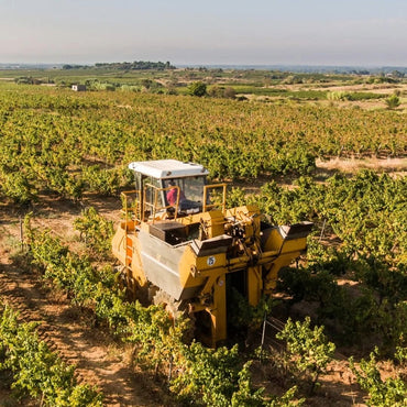 Pique & Mixe Blanc De Blancs