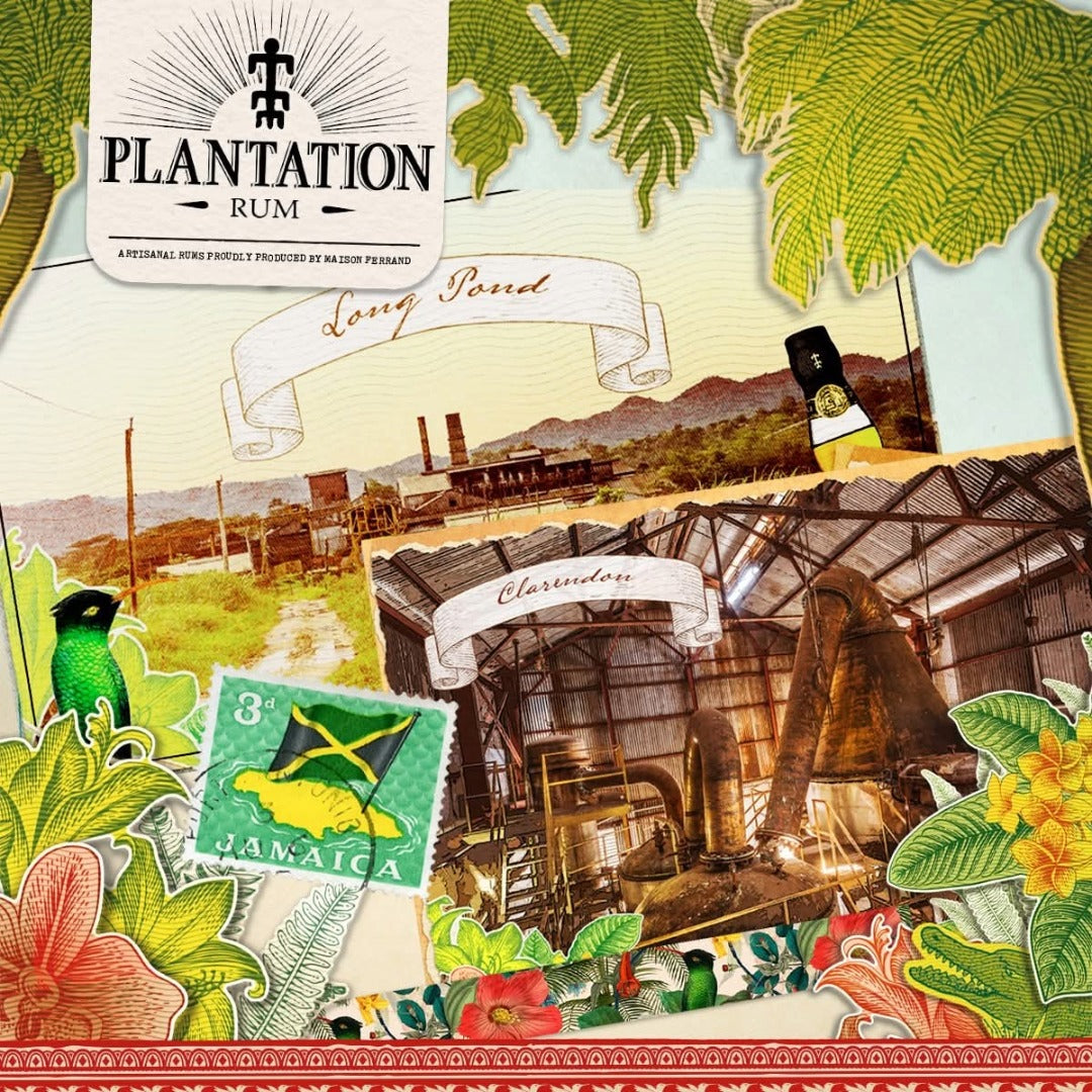 Planteray 3 Stars White