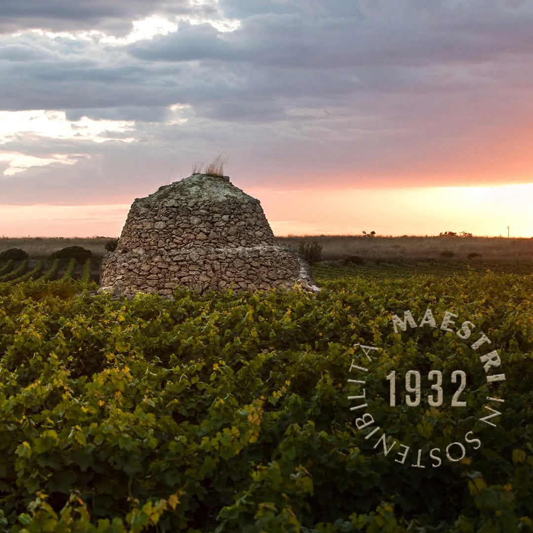 Produttori Di Manduria Elegia Primitivo Di Manduria Reserva