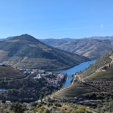 RCV Real Companhia Velha Lagrima White Port