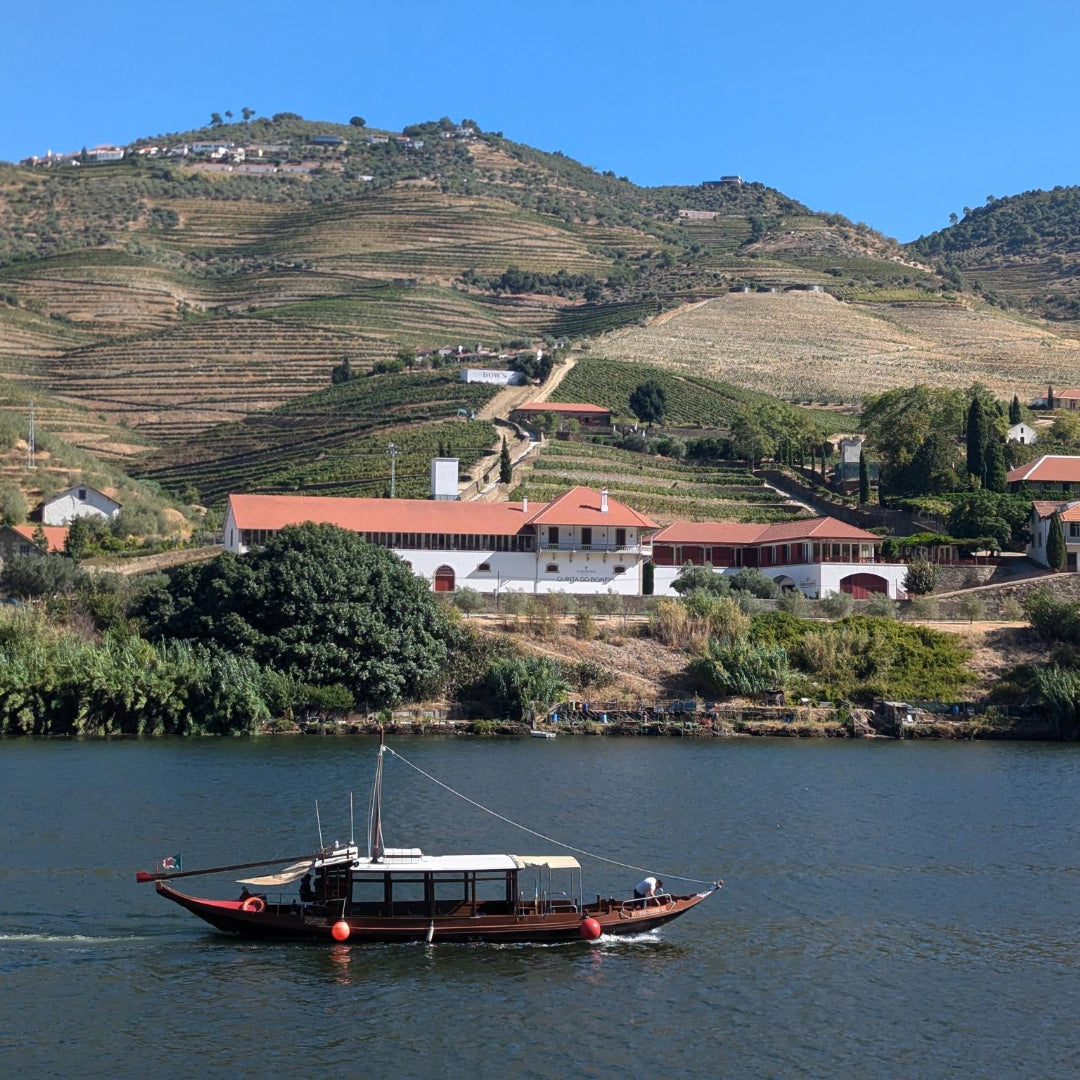 RCV Real Companhia Velha Lagrima White Port