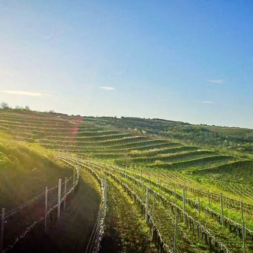 Crama De Matei Rosturi Merlot Cabernet Feteasca Neagra