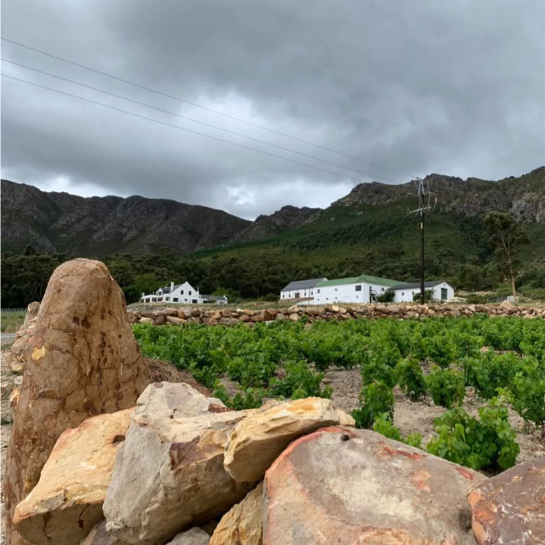 The Tea Leaf Chenin Blanc