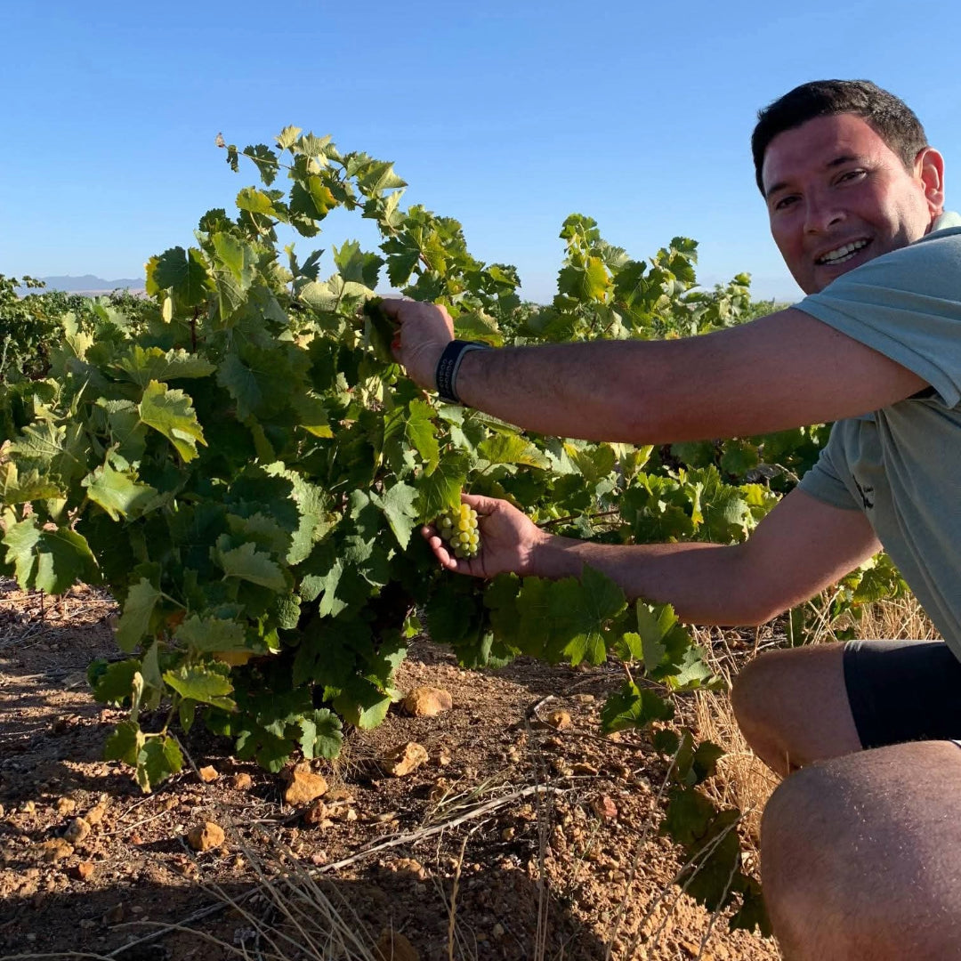 The Tea Leaf Chenin Blanc
