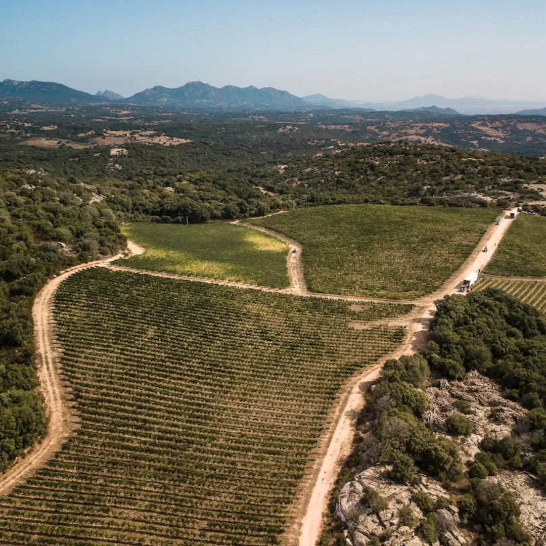 Sa Raja Kintari Vermentino di Gallura