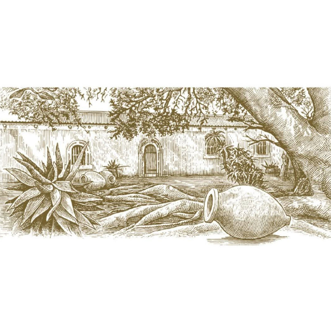 Spice Route Swartland Pinotage