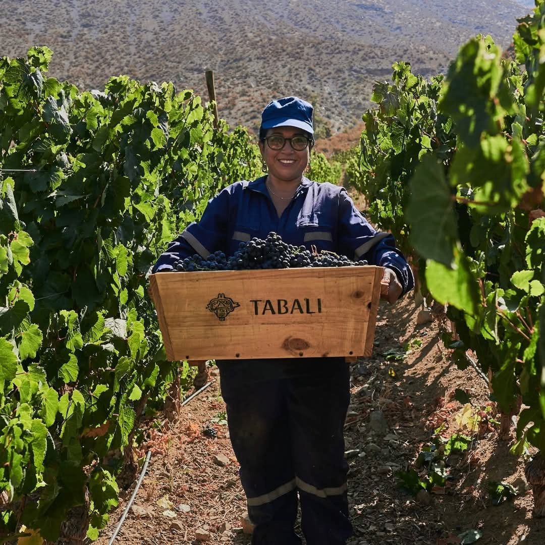 Tabali Talinay Sauvignon Blanc