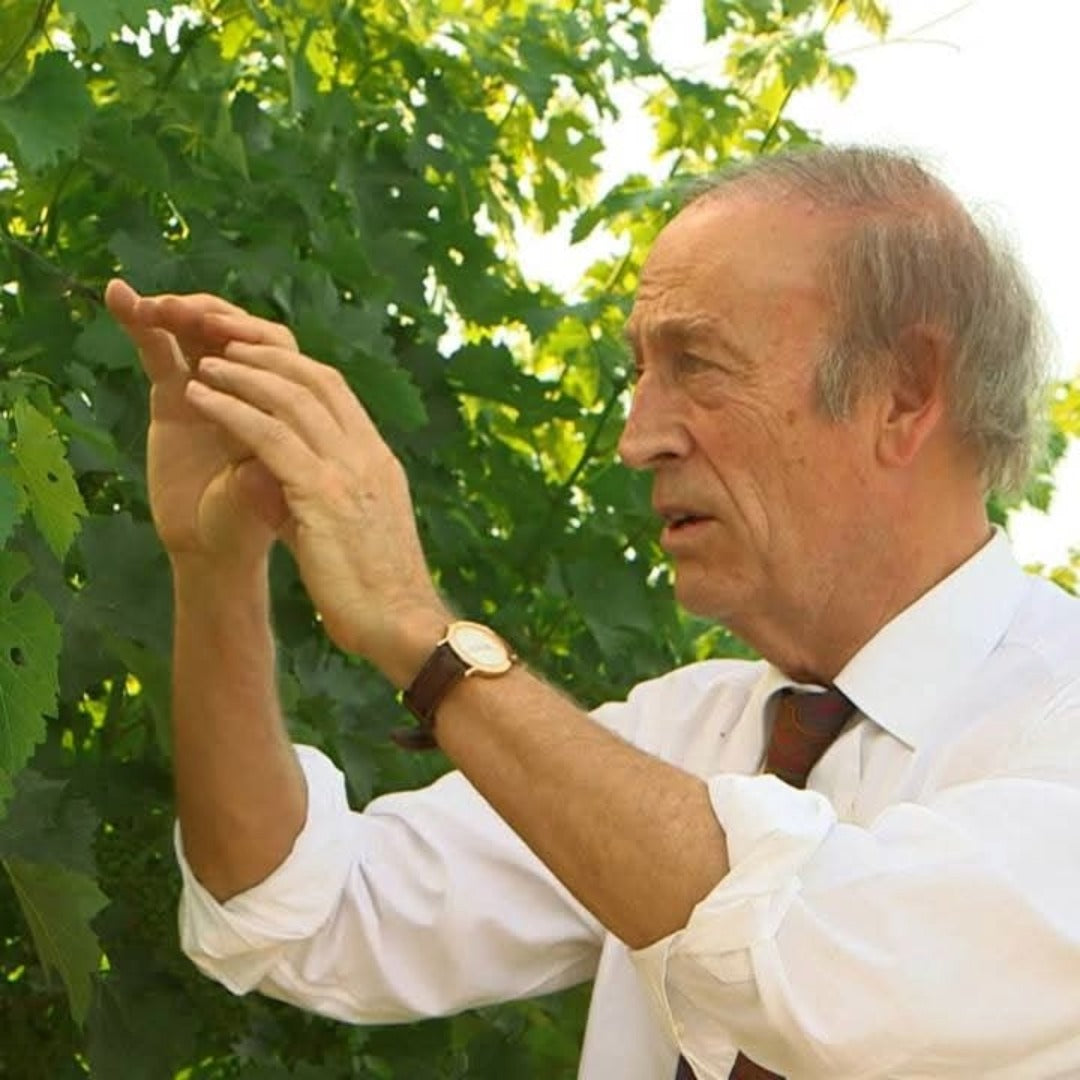 Pazo das Bruxas Albarino