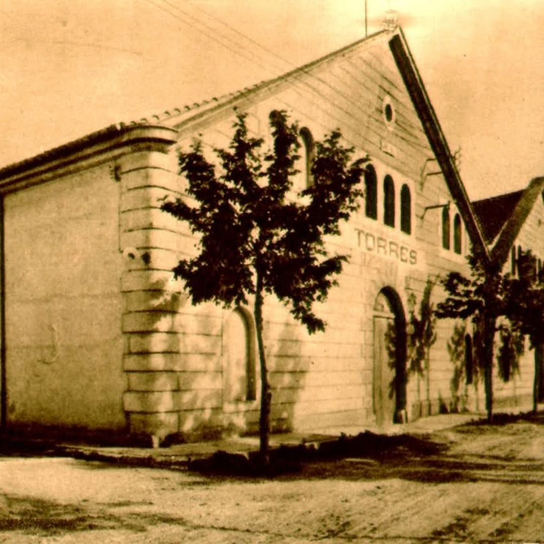 Pazo das Bruxas Albarino