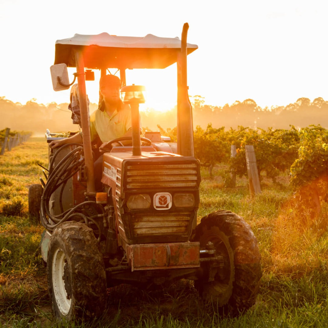 Tyrell's Hunter Valley Chardonnay