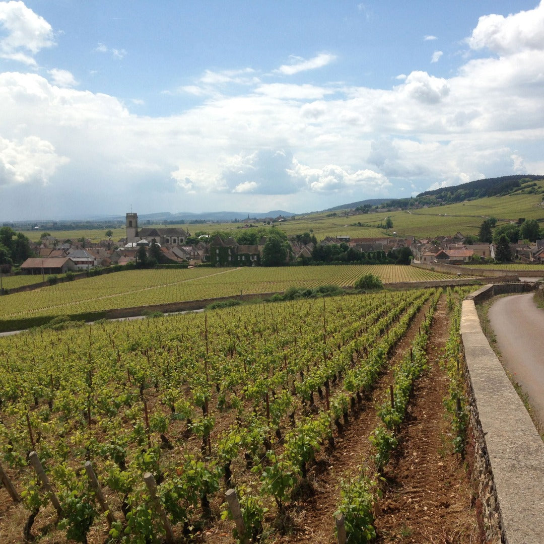 Domaine Fernand & Laurent Pillot Volnay